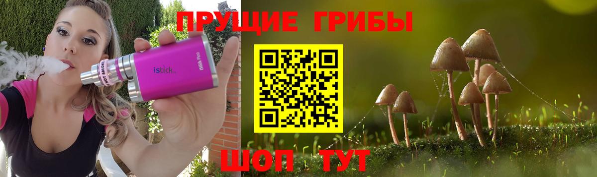 где найти наркотики  Вход с VPN  Волгодонск  Галлюциногенные грибы Psilocybine cubensis 